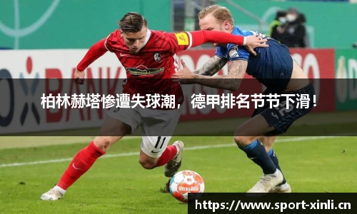新利体育