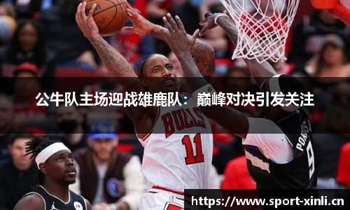 新利体育官网