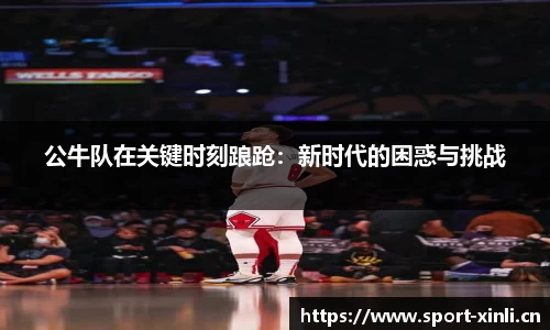 新利体育官网
