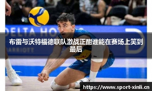 新利体育
