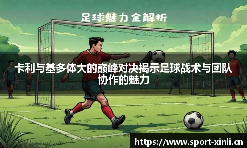 新利体育